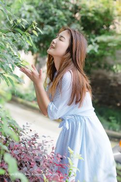 平津战役免费完整版观看